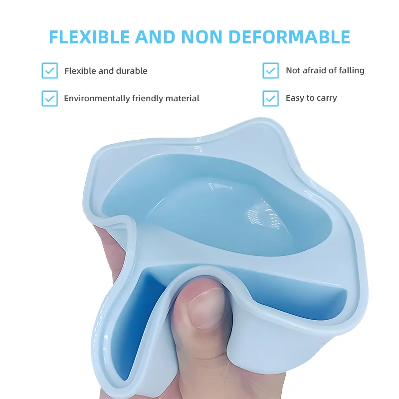 Two-compartment Mini Lunch Box