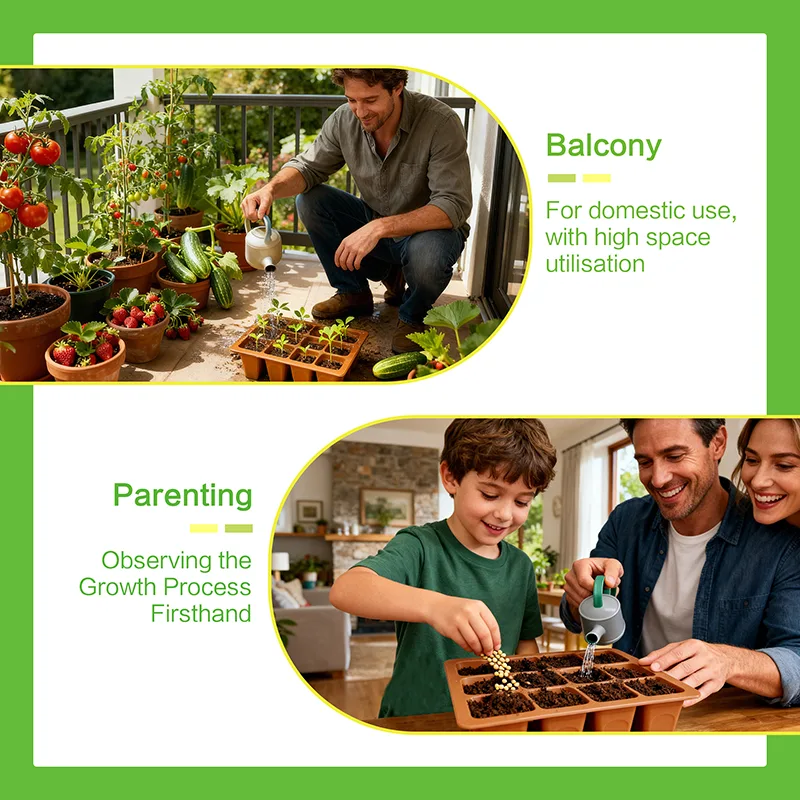 12-Cell Seedling Tray