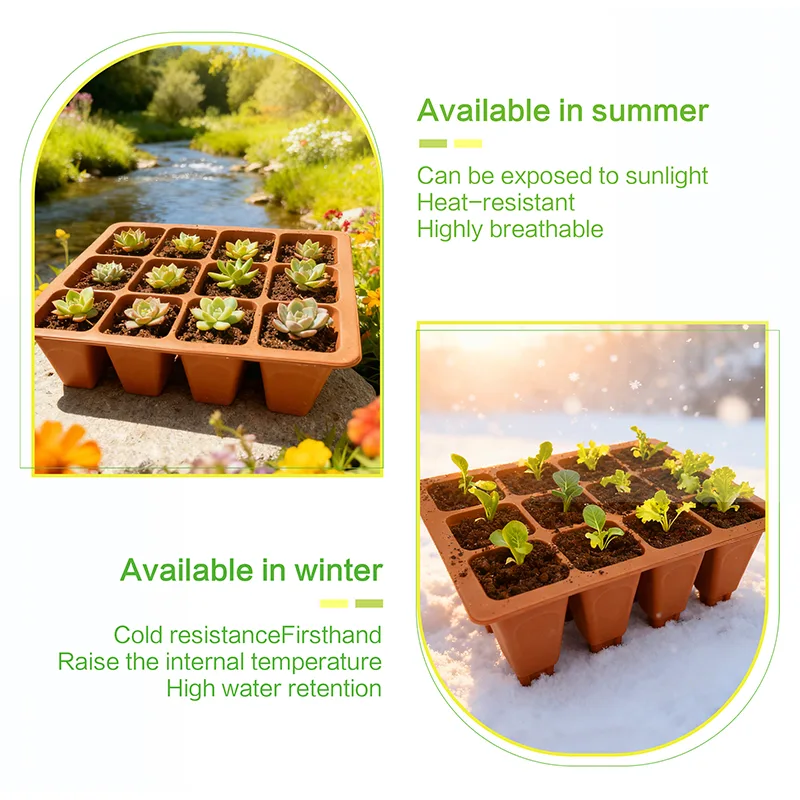 12-Cell Seedling Tray